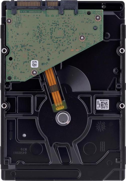 Image du produit Seagate SkyHawk (6 To, 3.5", CMR)