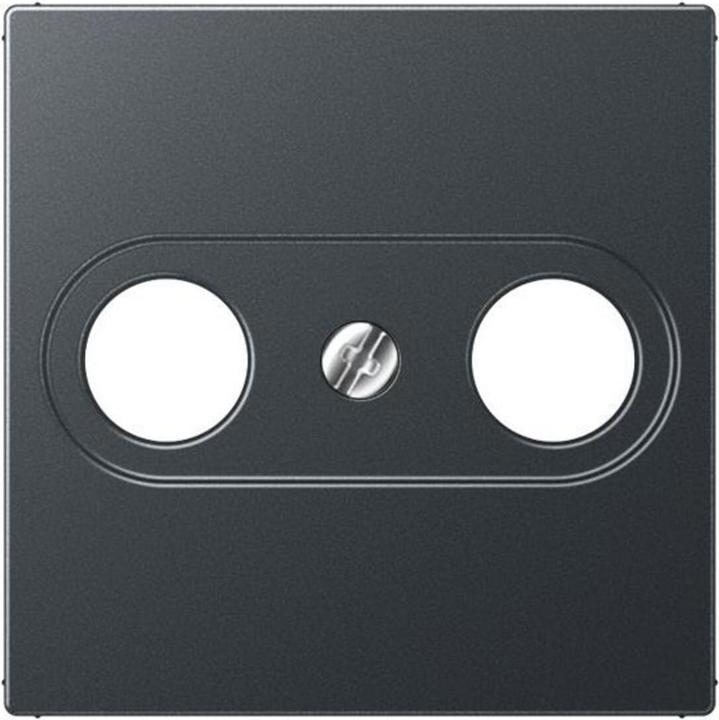 Actual product image Albrecht Cover 2hole A561BFPLTVANM f.antenna outlet series A anthr.matt