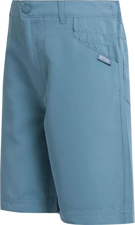 Regatta Sorcer II Shorts