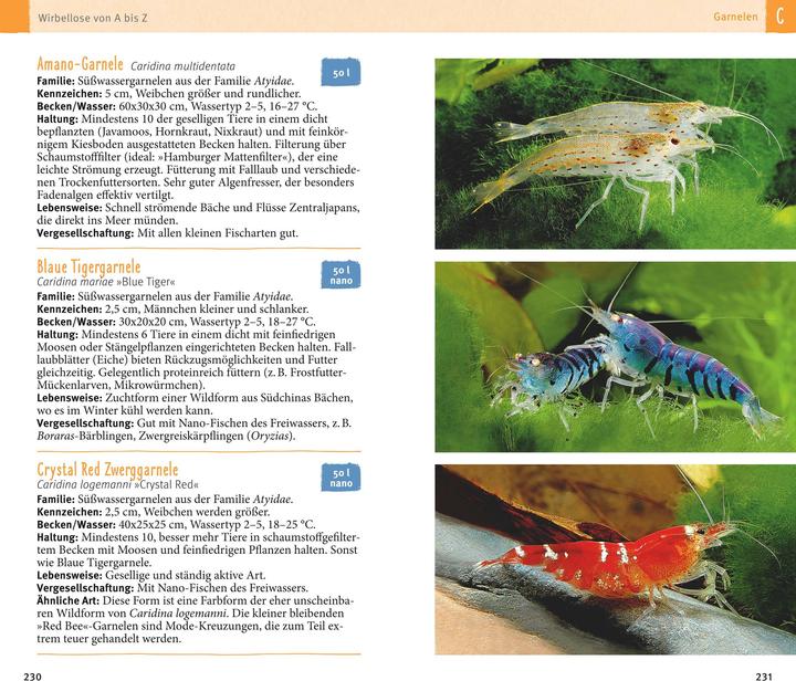 Produktbild Aquarienfische von A bis Z (Deutsch, Ulrich Schliewen, 2017)
