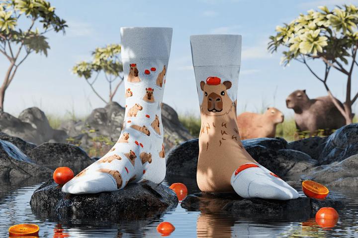 Actual product image Many Mornings Capybara (Single pack, 39 - 42)