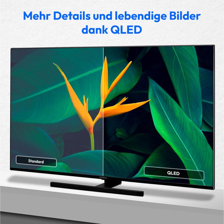 Medion LIFE® X14373 (MD 31256) QLED Android TV (43", QLED, 4K)
