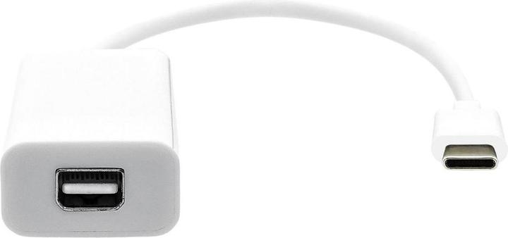 Immagine prodotto ProXtend Da USB-C a Mini DP 20cm bianco (USB-C, 20 cm)