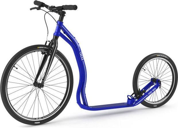 Actual product image Yedoo Tretroller Trexx Scooter blau