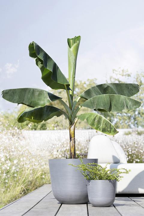Actual product image Ecopots Oslo (35 cm)