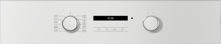 Actual product image Miele H 2861-55 BP