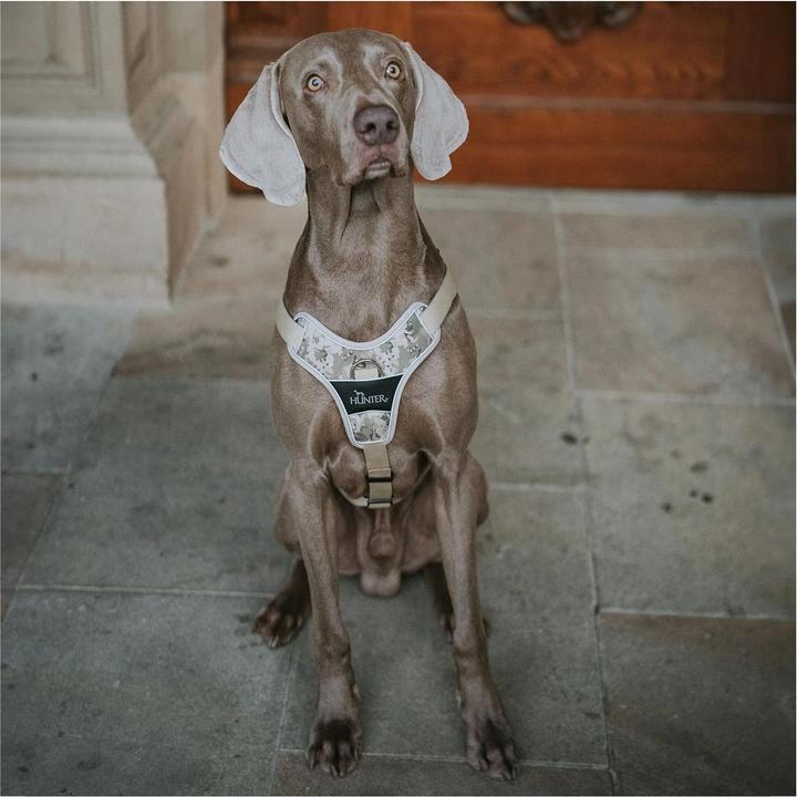 Immagine prodotto Hunter Pettorina mimetica Divo per cani Beige M (M, Cane)