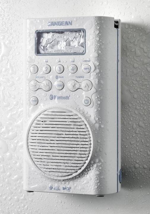 Actual product image Sangean H205d (DAB+, FM, Bluetooth)