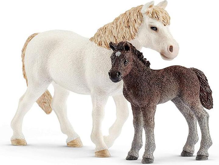 Immagine prodotto Schleich Set cavalla pony e puledro