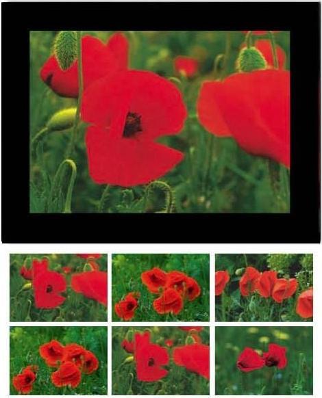 Produktbild Baback Haschemi Doppelkarten-Böxli 818 MOHNBLUMEN (1 Stk.)