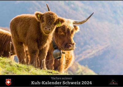 Actual product image Cow Calendar Switzerland 2024 (40 x 31 cm, English, Italian, French, German)