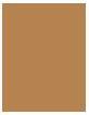 Actual product image Shiseido Synchro Skin Radiant Lifting Foundation SPF 30 ml - (420 Bronze)