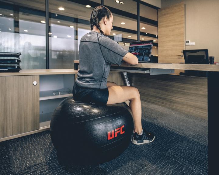 Actual product image UFC Fitball - 55cm (55 cm)