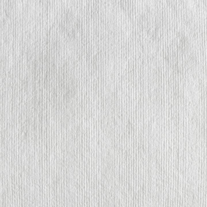 Produktbild Wypall Wischtücher X60 1-lagig 42,6x31,7cm Bragbox weiss (1 Stk.)