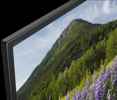 Immagine prodotto Sony Kd-49xf7005 (49", LCD, 4K, 2018)