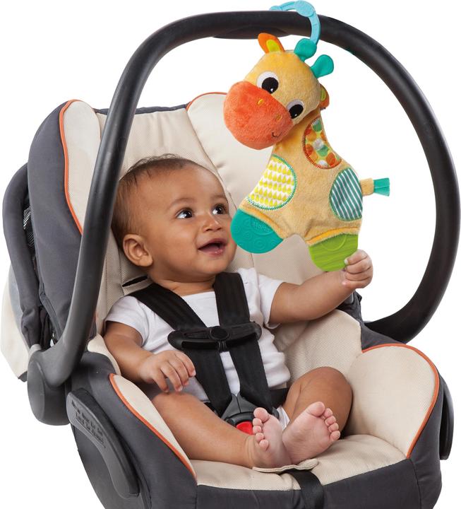 Image du produit Bright Starts Snuggle & Teethe