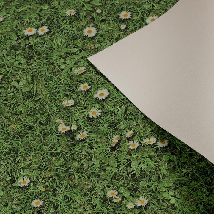 Actual product image Karat Daisies