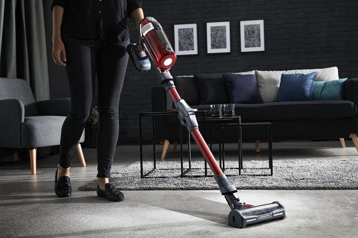 Actual product image Rowenta X-Force Flex 11.60 Animal