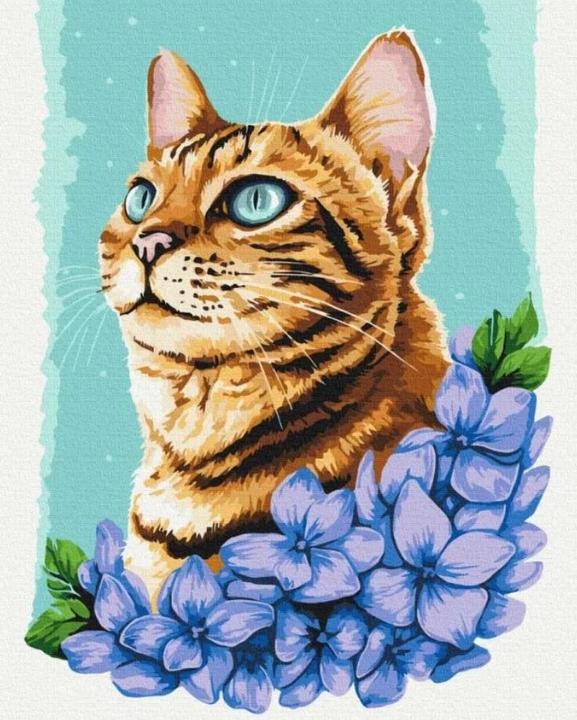 Twoje Hobby Malen nach Zahlen - Azurblaue Katze 40x50cm