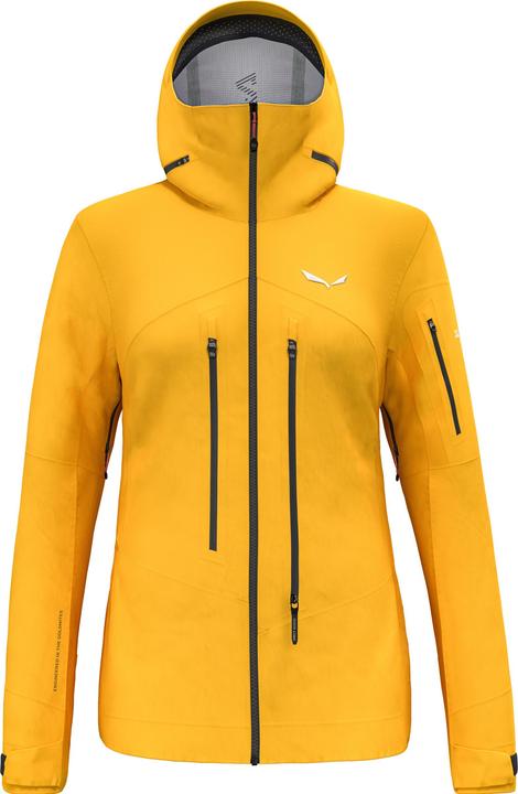 Salewa Ortles Gtx Pro Jacket W