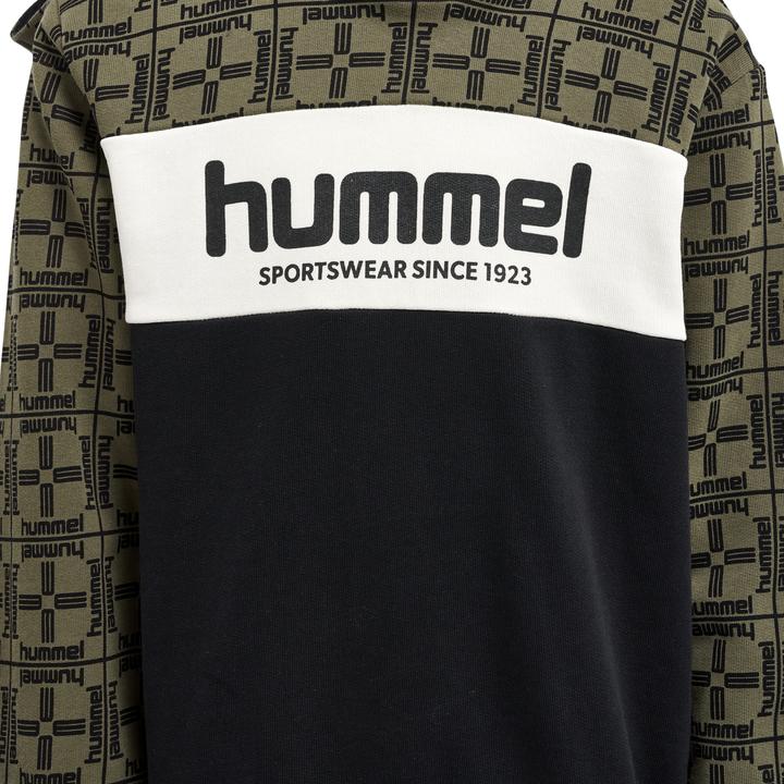 Immagine prodotto hummel Felpa Con Cappuccio Hmlcolden (122)