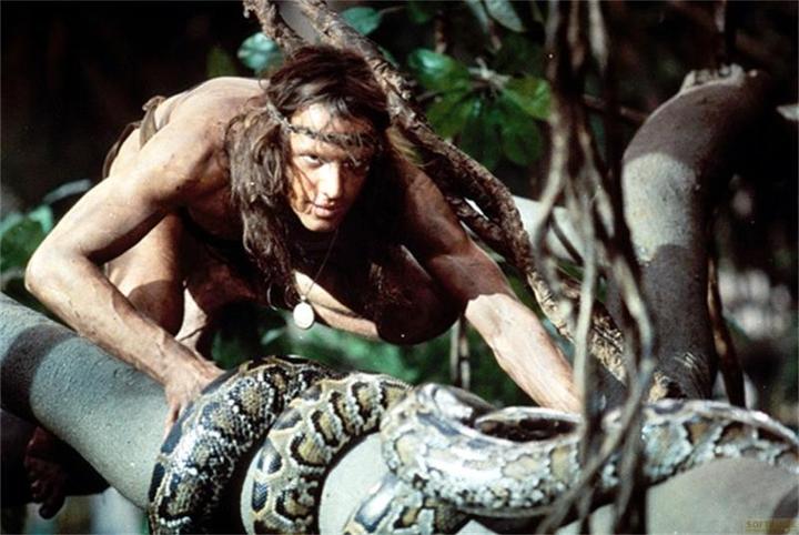Image du produit Plaion Greystoke - La Légende de Tarzan, Le Seigneur des Singes (Blu-ray, 1984, Allemand, Anglais)