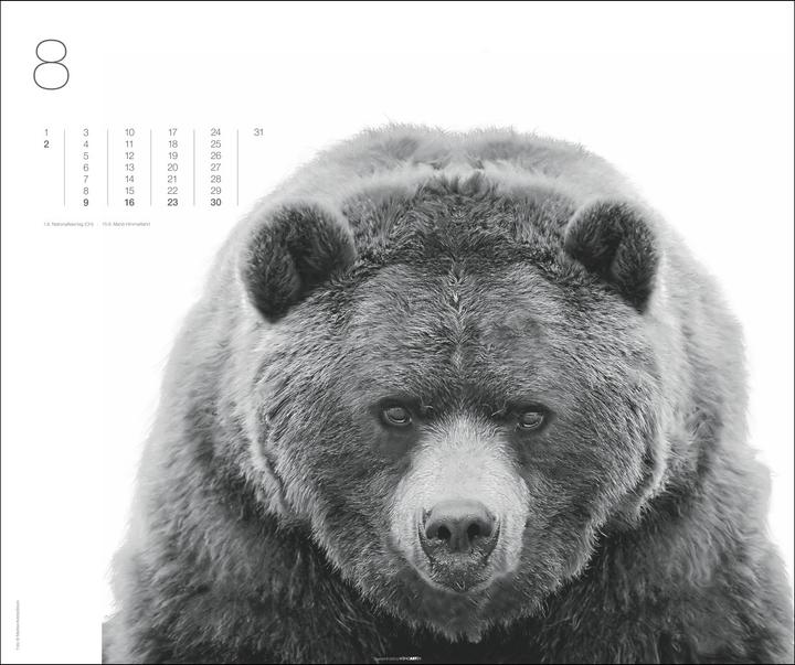 Produktbild Black & White Animals 2026 (55 x 46 cm, Harter Einband, Deutsch)