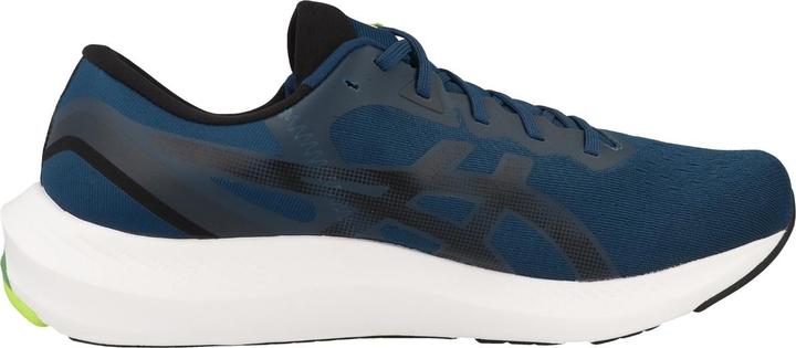 Produktbild ASICS Performance Gel-Pulse 13 (43.5)