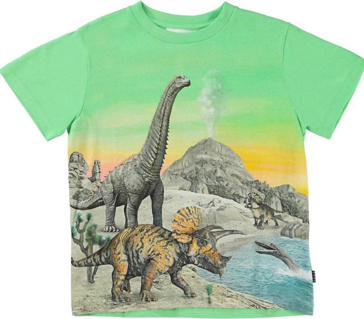 Molo T Shirt Rame Dinos