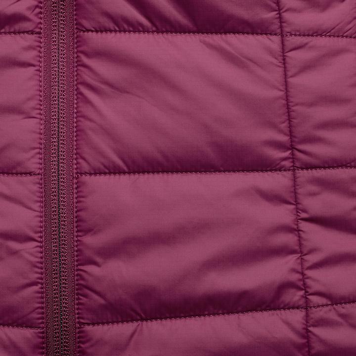 Actual product image Forclaz TREK100 (M)
