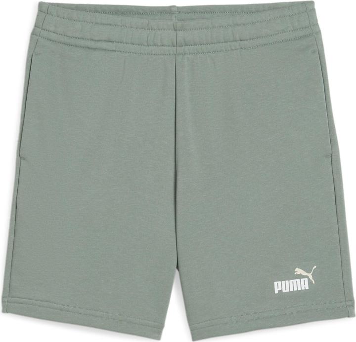Actual product image Puma ESS 2 COLOR No. 1 Logo Shorts TR B (164)