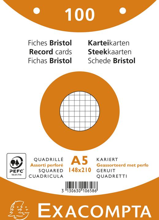 Exacompta Karteikarten (A4, 205 g/m², 100 x)