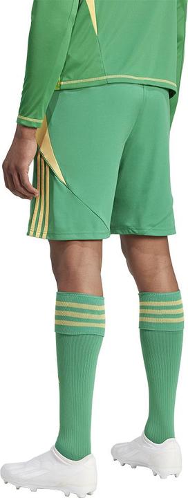 Actual product image adidas TIRO24 SHORT (3XL)