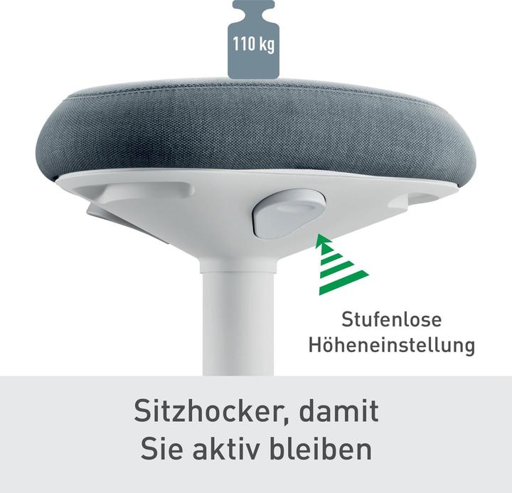 Immagine prodotto Leitz Ergo Active