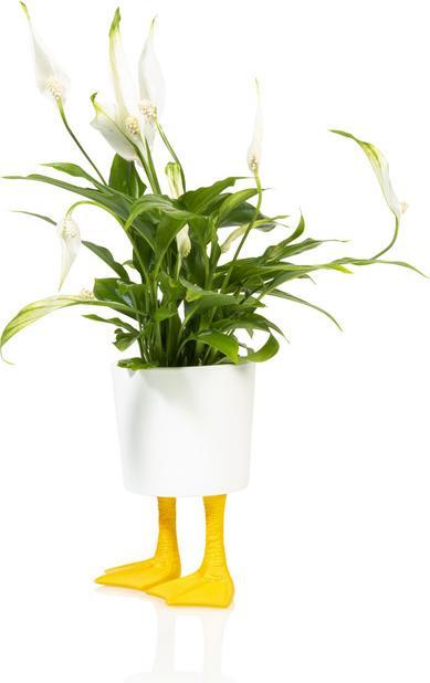 Planters