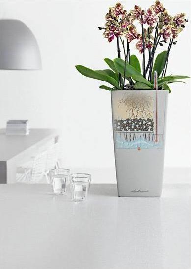 Actual product image Lechuza Cubico (22 cm)