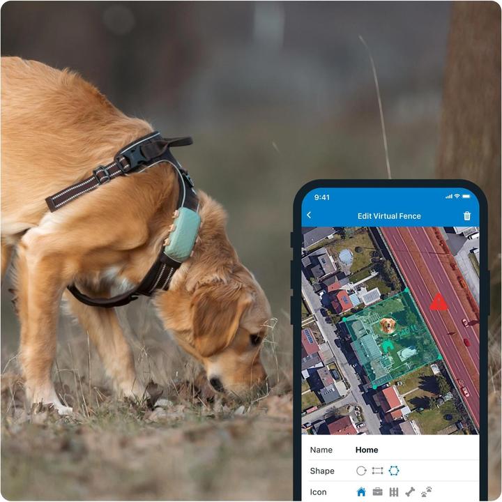 Produktbild Tractive DOG XL GPS Tracker für Hunde (Hund, Allgemein)