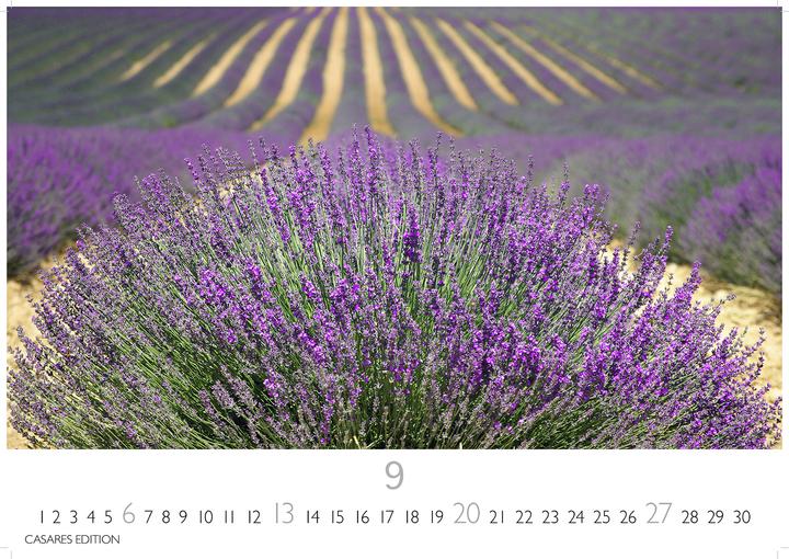 Produktbild Blumenwiese 2026 L 35x50cm (35 x 50 cm, Deutsch)