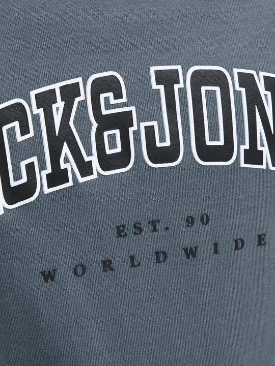 Produktbild Jack & Jones Jjecaleb Varsity Tee Ss O-Neck Noos Jnr (152)