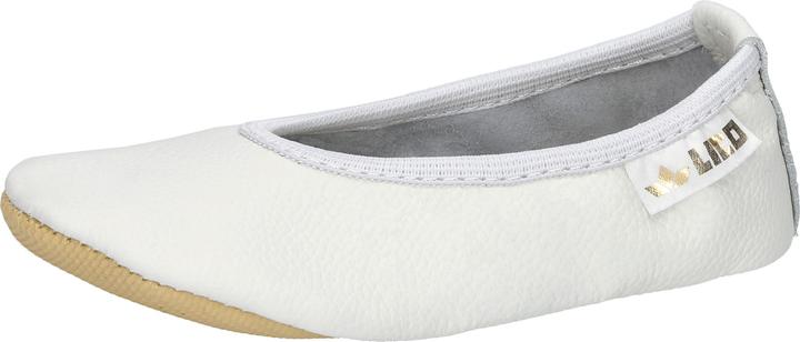 Actual product image Lico G1 (28)