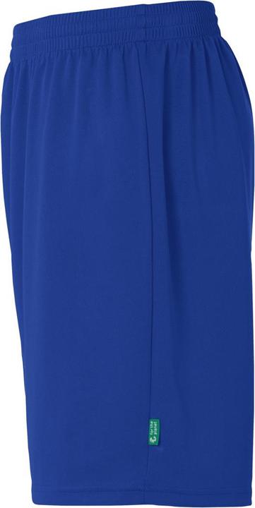 Actual product image Kempa Team Shorts (XL)