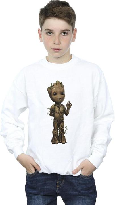 Produktbild I Am Groot Wave Pose Sweatshirt Jungen (140, 146)