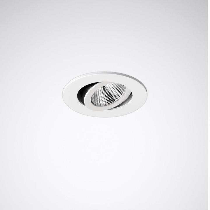 Trilux SncPoint 905 C01 BR-FL LED700-840 (900 lm)
