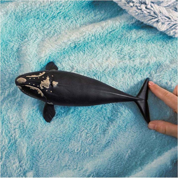 Produktbild Schleich Nordatlantischer Glattwal