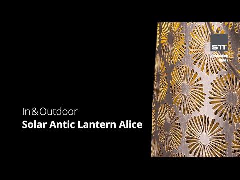 Image du produit STT Alice