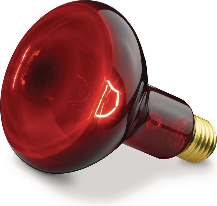 Produktbild Beurer Ersatzstrahler IL 11 (100 W)