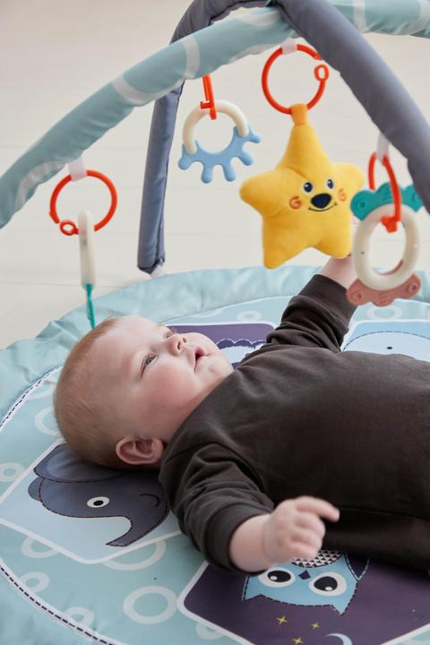 Produktbild Scandinavian Baby Products Zoo Activity Gym