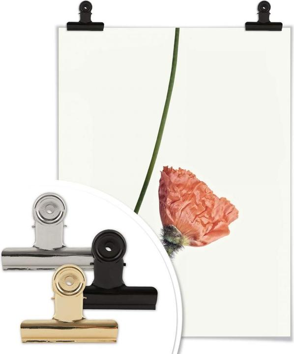 Image du produit Trenddeko La fleur rouge 02 (30 x 40 cm)