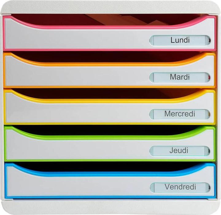 Actual product image Exacompta Big Box Plus (A4+)