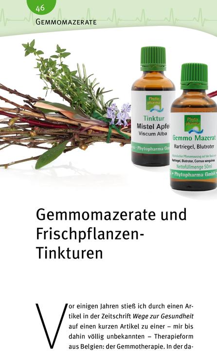 Produktbild Blutdruck (Deutsch, Andreas Nieswandt, 2021)
